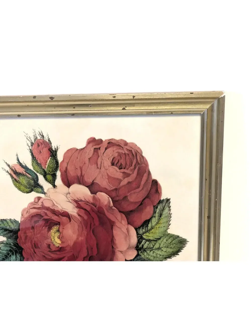 Antique Currier & Ives Hand Colored Lithograph The Rose Floral Print Gold Frame